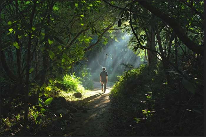 O crescimento da cultura slow life no Japão 1