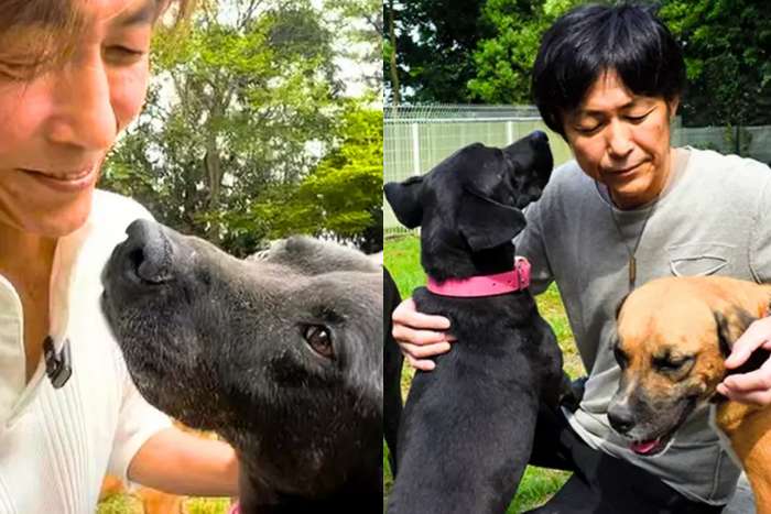 O empresário japonês que vendeu a Ferrari e a empresa para salvar cães