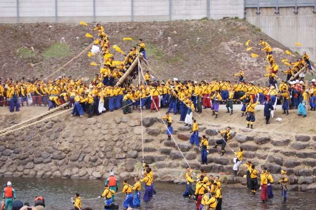 Onbashira Matsuri - O Festival Japonês dos Troncos Gigantes