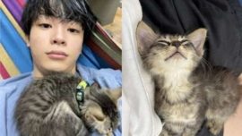 Sushi Ramen Riku e sua gatinha resgatada