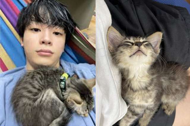 Sushi Ramen Riku e sua gatinha resgatada