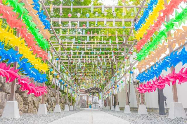 Templo Hotokuji um refúgio Zen entre cores e reflexos 