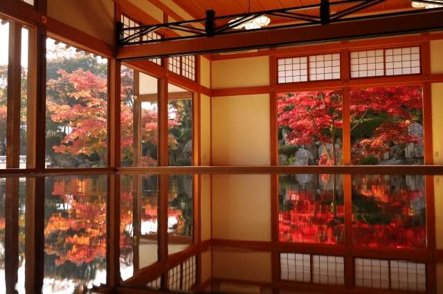 Templo Hotokuji um refúgio Zen entre cores e reflexos 