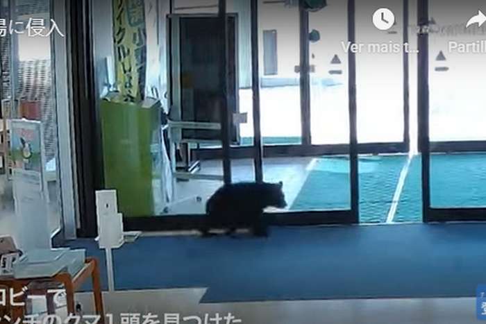 portas automáticas à prova de urso no Japão