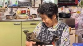 A emocionante história sobre uma avó e seu gato que vivem no campo