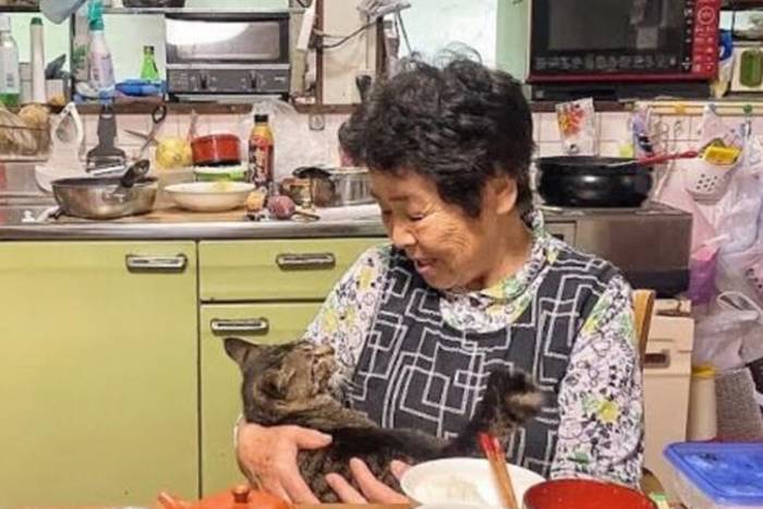 A emocionante história sobre uma avó e seu gato que vivem no campo