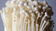 Cogumelos enoki no Japão