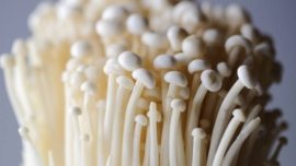 Cogumelos enoki no Japão