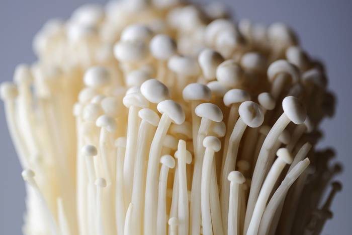 Cogumelos enoki no Japão 