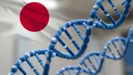 Estudo genético revela a verdadeira origem do povo japonês