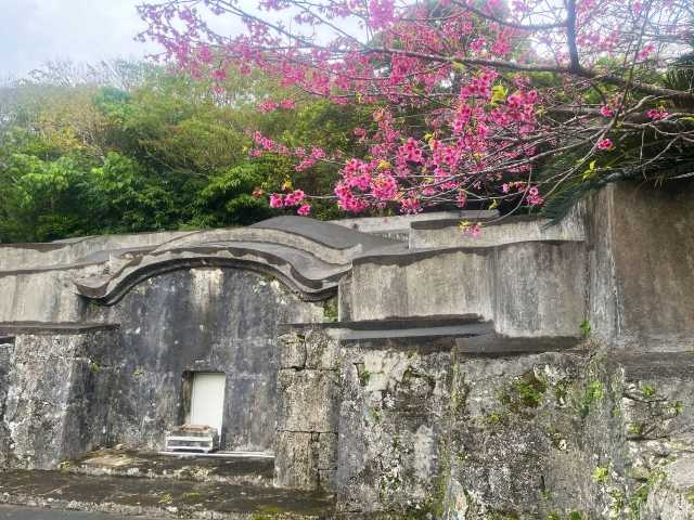 Kamekobaka, os túmulos caso de tartaruga de Okinawa 