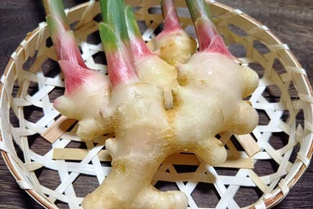 O gengibre na culinária japonesa