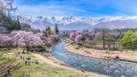 Oide Park, Hakuba, Nagano