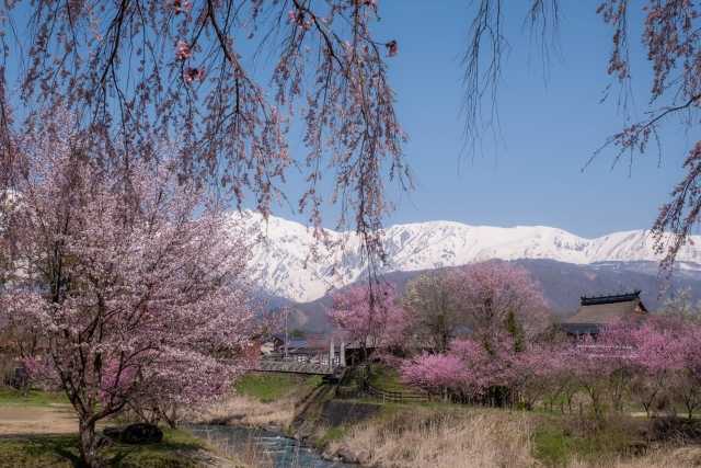 Oide Park, Hakuba