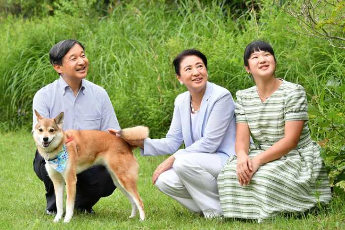 Os animais resgatados da família real japonesa