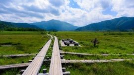 Ozegahara é o maior pântano alpino do Japão