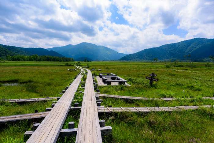 Ozegahara é o maior pântano alpino do Japão 