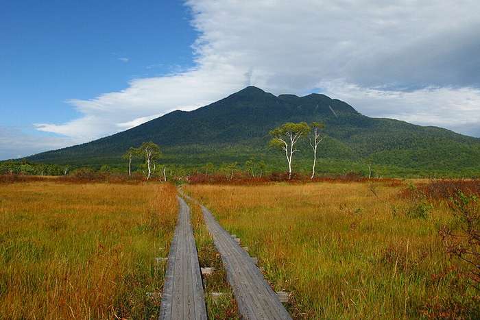 Ozegahara é o maior pântano alpino do Japão 