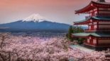 Pagoda Chureito, Monte Fuji e sakuras