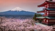 Pagoda Chureito, Monte Fuji e sakuras