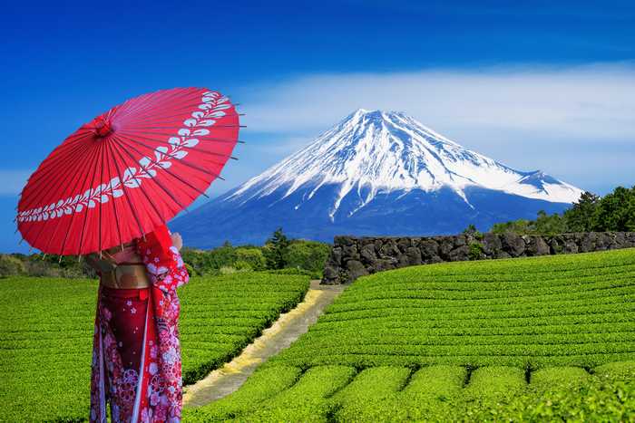 Plantações de chá verde em Shizuoka 