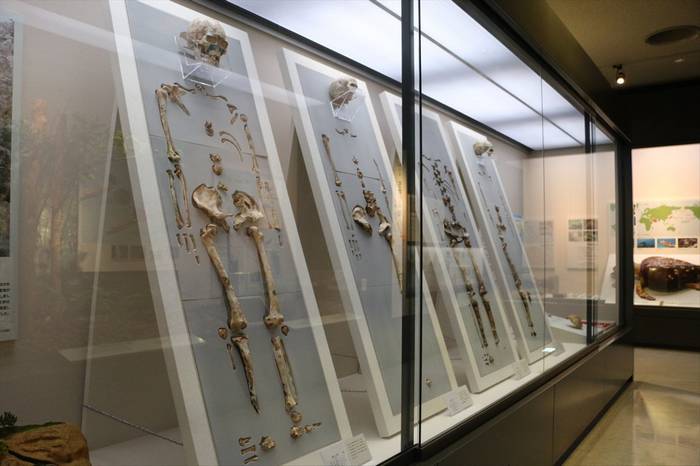 Povo Minatogawa de Okinawa