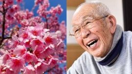 Sano Toemon: O Guardião das Cerejeiras do Japão