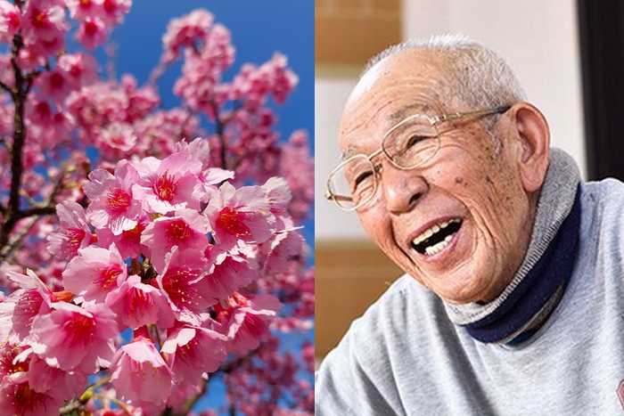 Sano Toemon: O Guardião das Cerejeiras do Japão