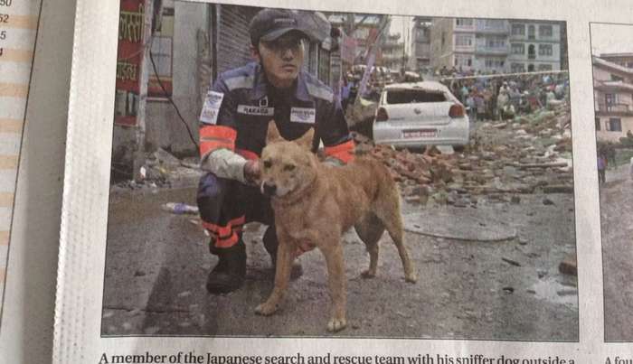 Yumenosuke, o cão que foi salvo quando estava prestes a ser eutanasiado e se tornou herói nacional no Japão