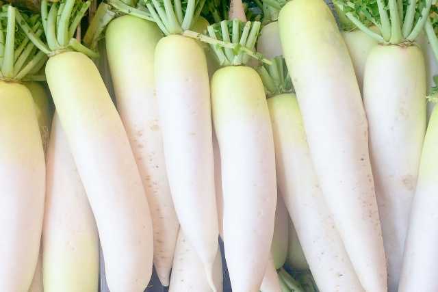 Daikon, o nabo na culinária japonesa