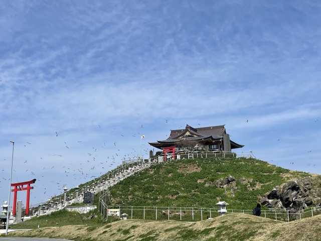 Ilha de Kabushima - o santuário das gaivotas no norte do Japão