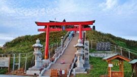 Ilha de Kabushima - o santuário das gaivotas no norte do Japão