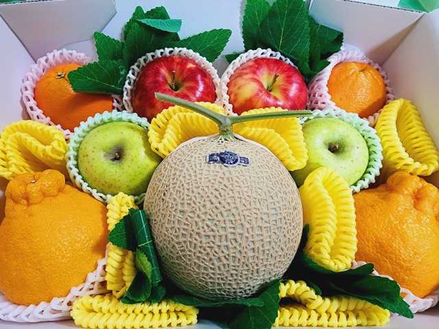 Melão de Shizuoka e frutas de inverno japonês