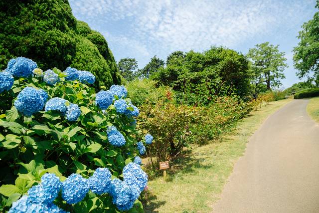 Nokonoshima, Fukuoka 