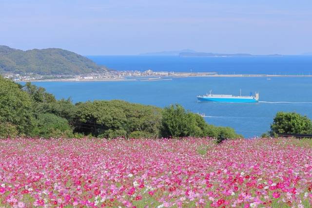 Nokonoshima, em Fukuoka