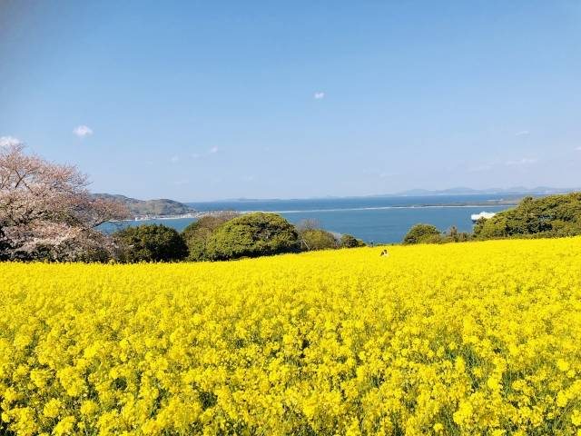 Nokonoshima, em Fukuoka 