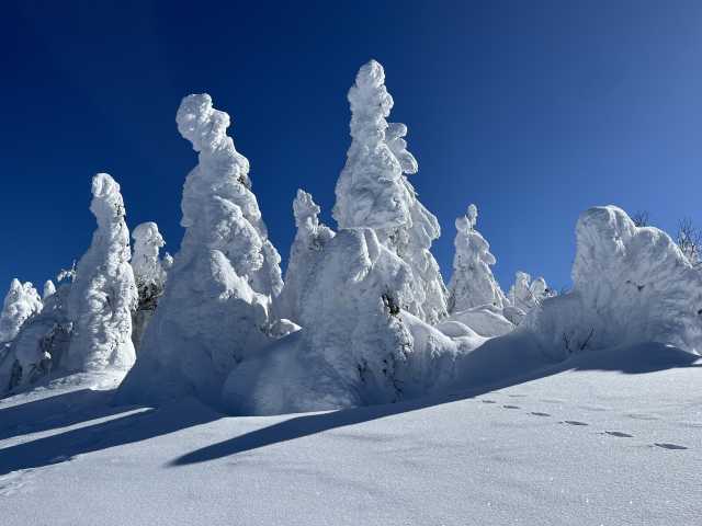 Os Monstros de Neve do Monte Zao, em Yamagata, no Japão