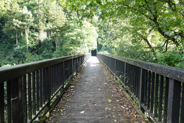 Ponte Moegi, Okutama