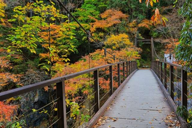 Ponte do Vale de Hatonosu, Okutama