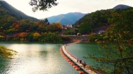 Ponte flutuante Mugiyama, em Okutama