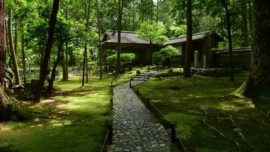 Templo Kokedera (Templo do Musgo), em Kyoto