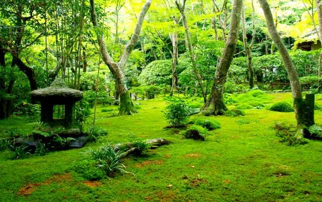 Templo Kokedera, em Kyoto