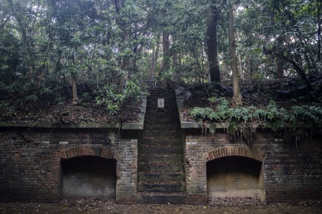 como visitar Tomogashima