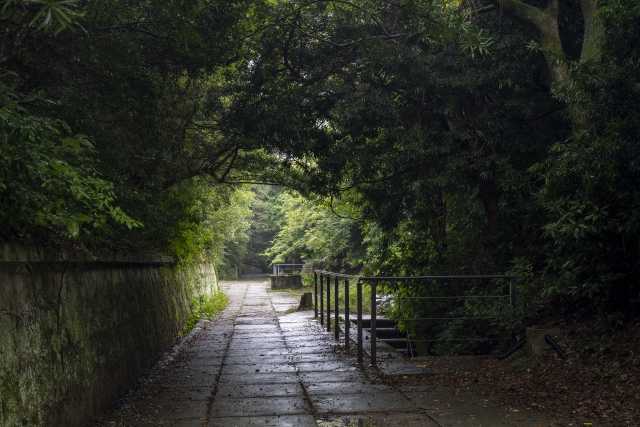 Tomogashima conhecida como Laputa: Castle in the Sky