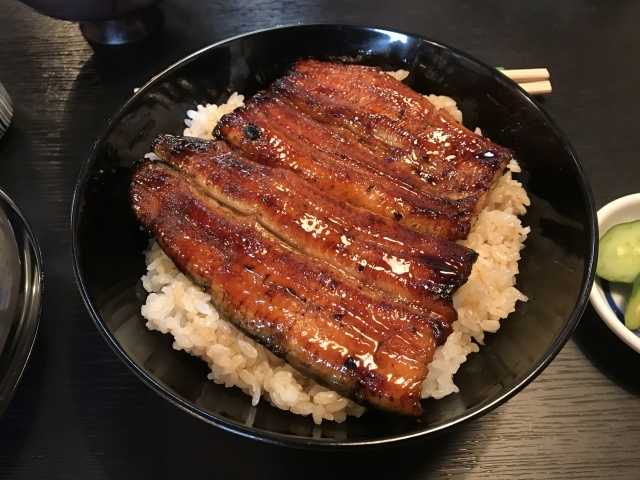 Unadon - Tigela de arroz com unagi 