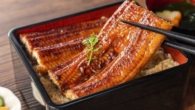 Unagi - enguia na culinária japonesa
