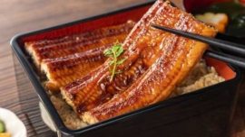 Unagi - enguia na culinária japonesa