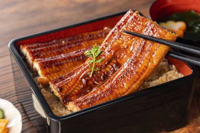 Unagi - enguia na culinária japonesa