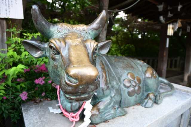 Vaca de Bronze - Nade-ushi - Santuário Nagaoka tenmagu 