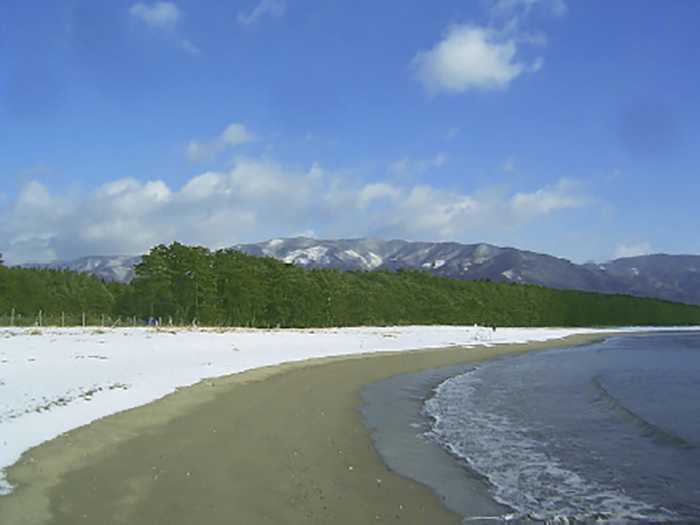 Floresta de pinheiros Takata Matsubara antes do tsunami